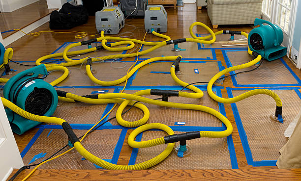 Professional Basement Flood Cleanup technician working in East Sparta, OH